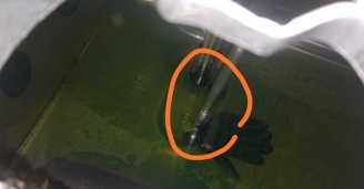 Фото Долгая и прекрасная дорога в Москву №2